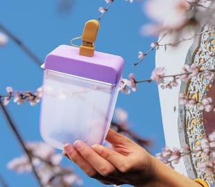 Leak-proof Ice Cream Drink Water Bottle with Strap